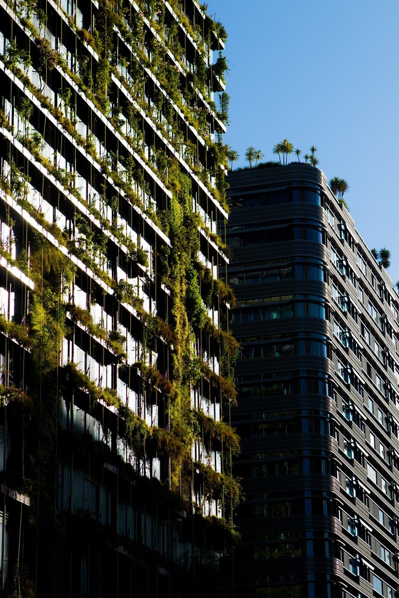 Outdoor Living Wall